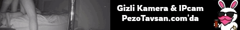 Site Banner